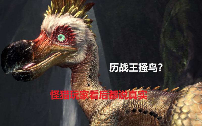 传世万能登陆器好用吗？玩家真实体验分享