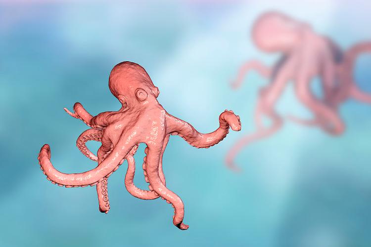 最新幻灵触手下载方法，避免下载到病毒