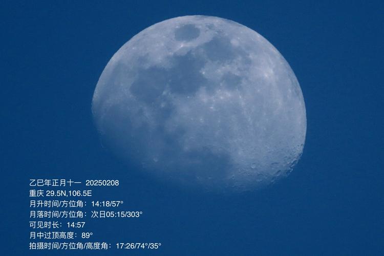 还在找失落的月亮更新地址?这里有答案!