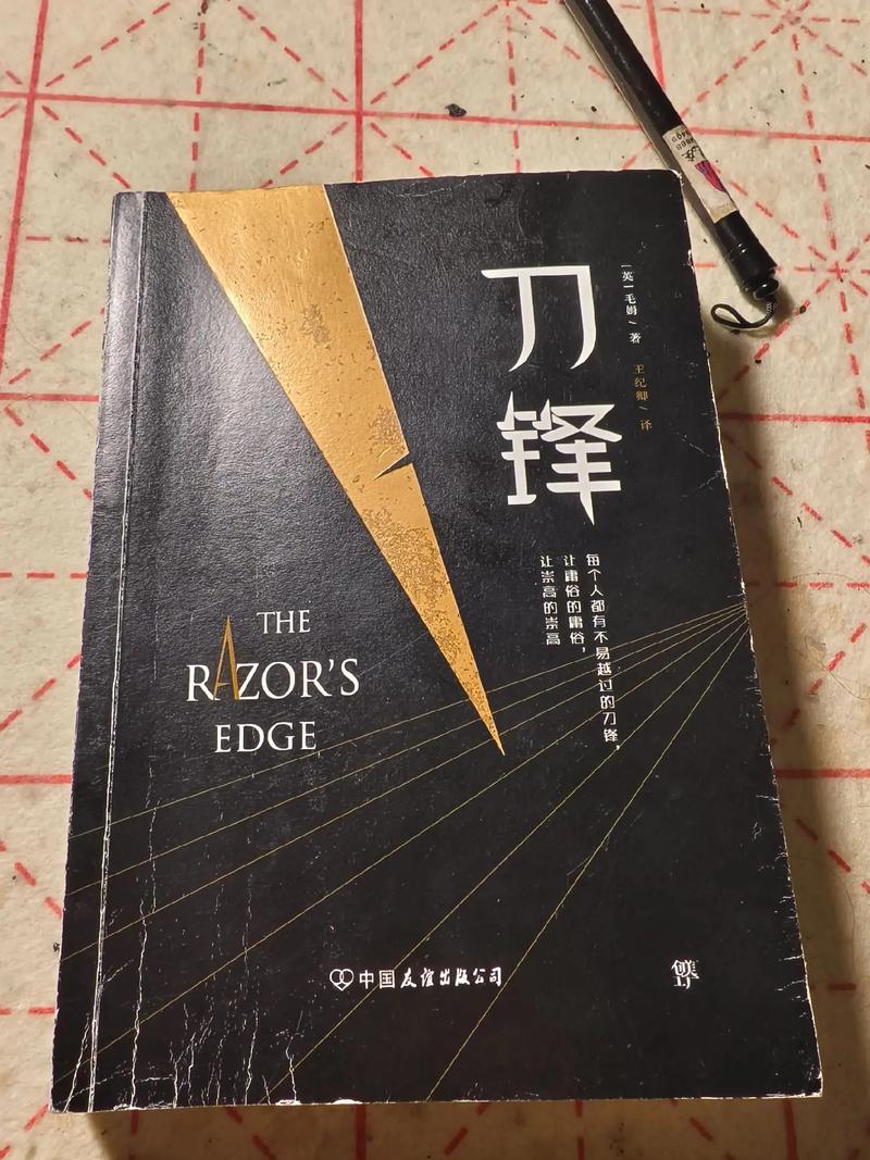 刀锋意志小说：精彩剧情，带你体验热血人生