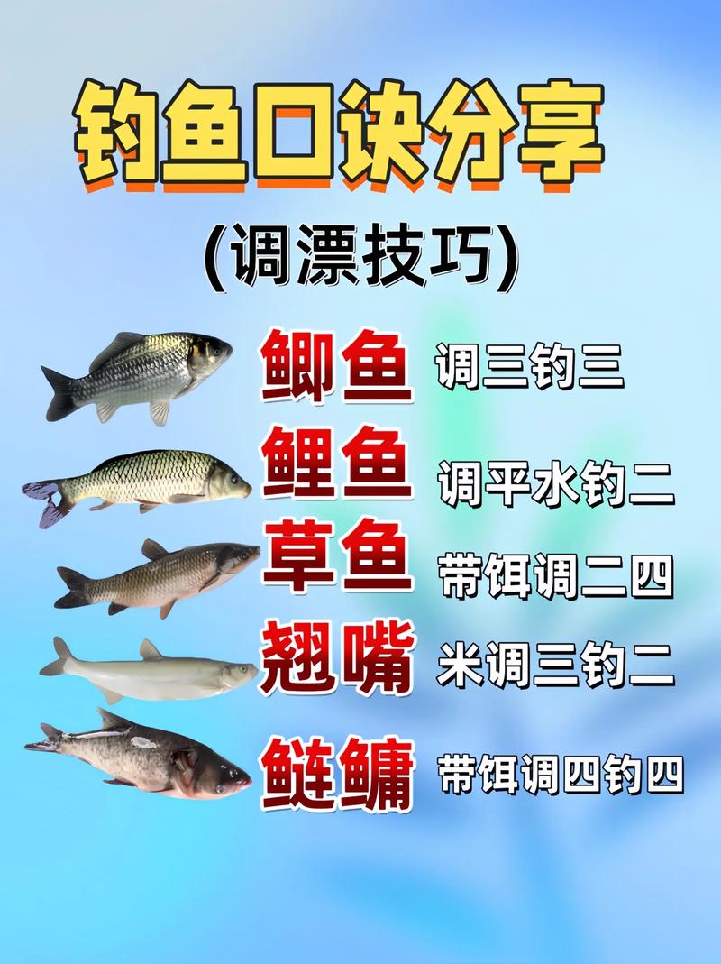 宗师级钓鱼秘籍大公开：高效钓鱼技巧分享