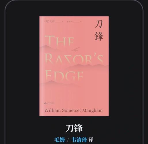 刀锋意志小说：精彩剧情，带你体验热血人生