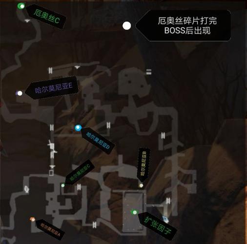 血之地：揭秘莱卡岁月之血背后的惊人秘密