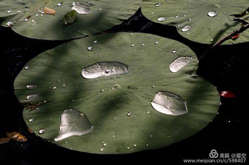 “大珠小珠落玉盘”形容的乐器是什么？答案揭晓！