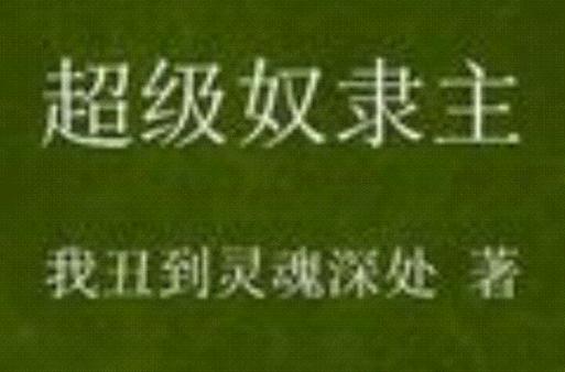 奴隶之书游戏攻略：快速通关秘籍分享