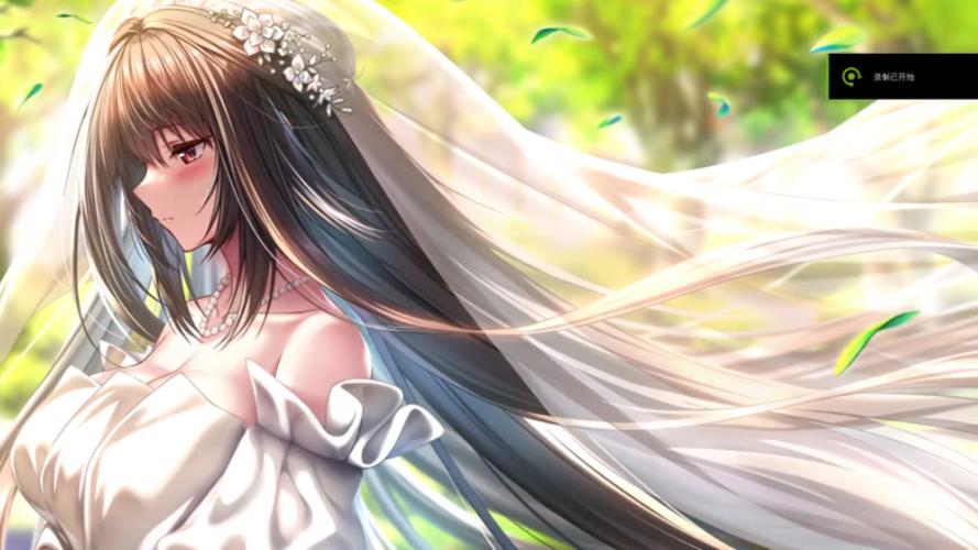 如何玩转甜蜜女友2绅士游戏？新手玩家必看教程！