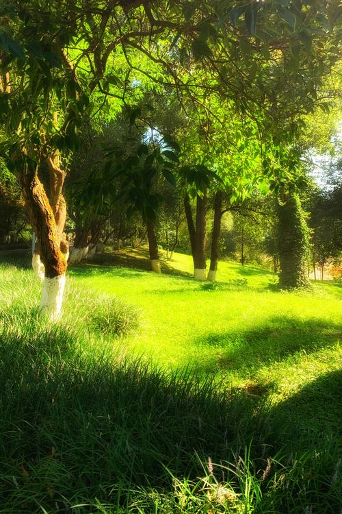 阳光下的真实版本大全：哪个版本最好玩？