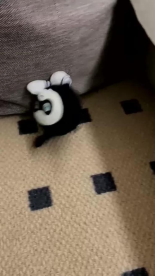 靠送奇怪玩具然后嘿嘿官方网站是真的吗?深度分析!