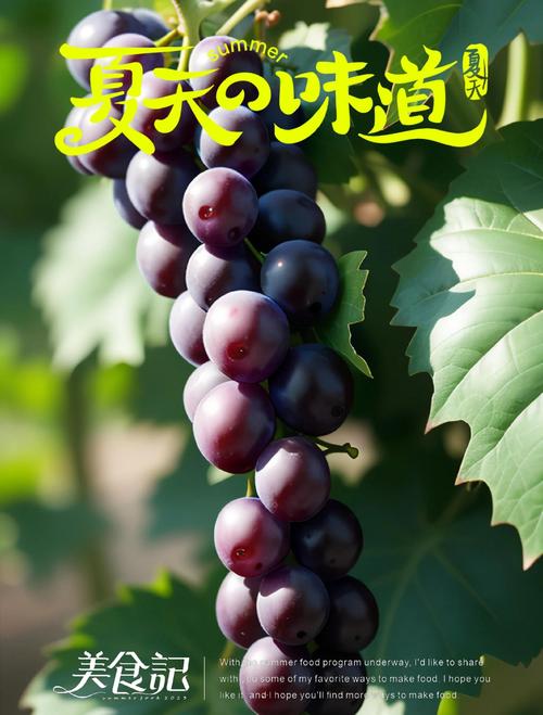 寻找葡萄成熟时官方网站？高清资源在线观看！