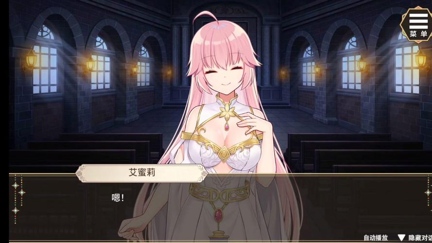 圣妓女艾蜜莉安卓汉化资源合集，带你深入游戏世界