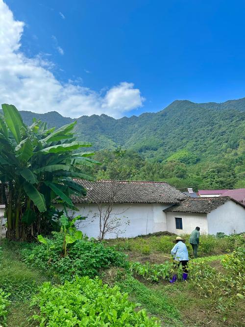 分享我的乡村生活最新见闻：简单纯粹的乡村日常