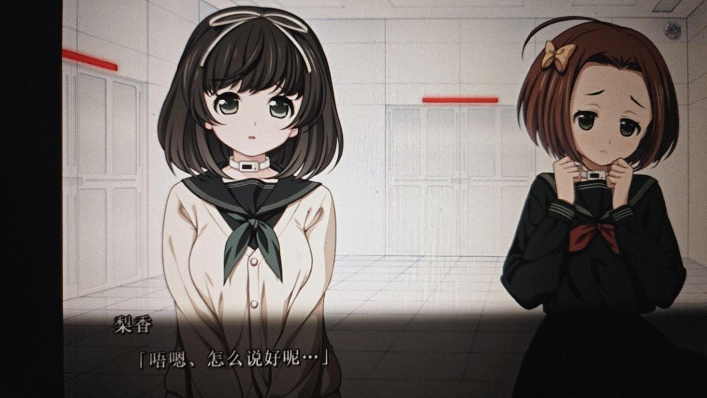 安全可靠的乐园之扉下载地址推荐，远离病毒