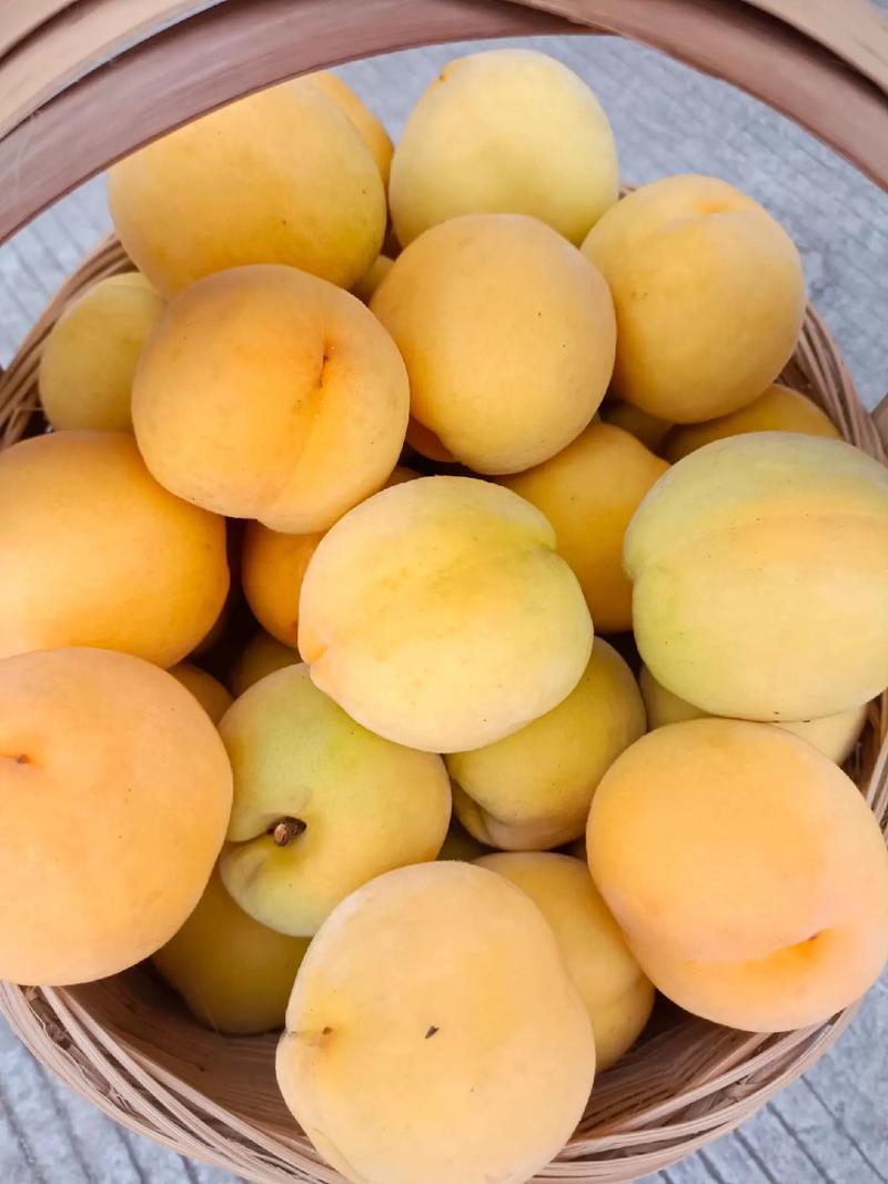 最新夏日甜蜜回忆:品尝夏日黄桃,重温童年美好时光