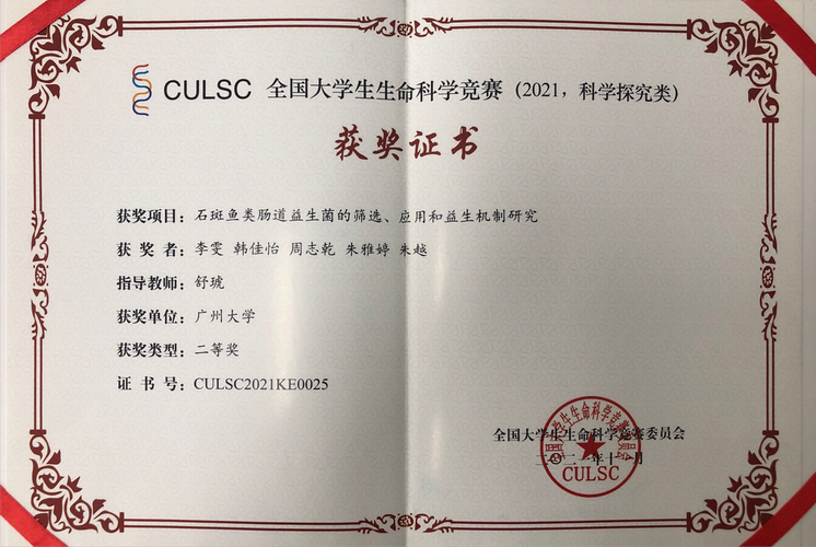 生命竞赛下载途径大全:PC安卓版本免费获取