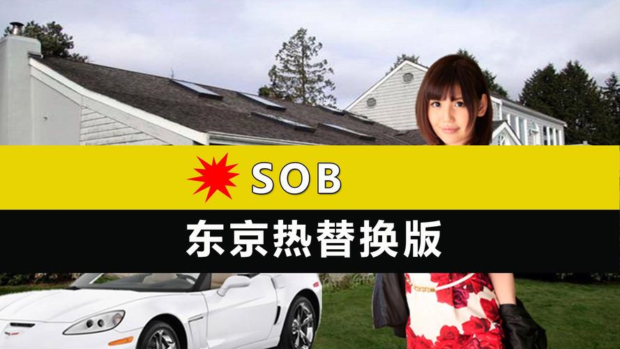 SOB亚替合集官方网站：高清资源，流畅体验，等你来玩！