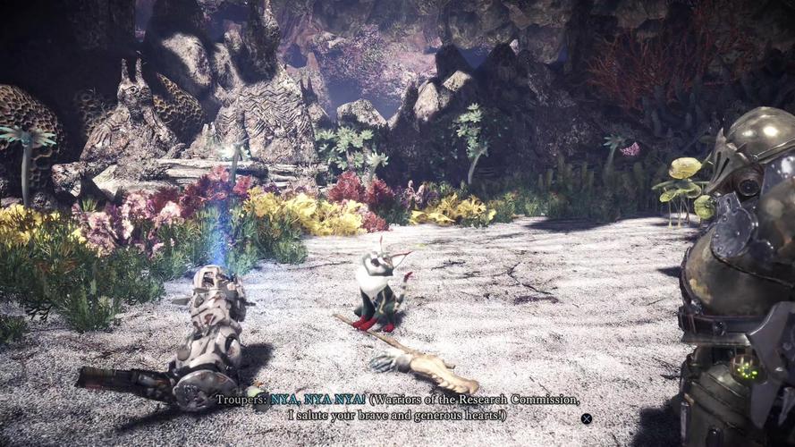 野猫版本大全分享：快速找到你需要的野猫游戏版本