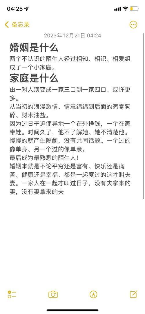 再婚家庭的奇妙故事版本大全:亲情、爱情与婚姻的交响乐