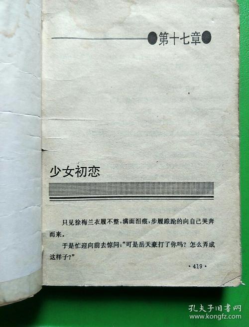 寡妇的偏远客栈汉化版：最新更新内容详解及下载