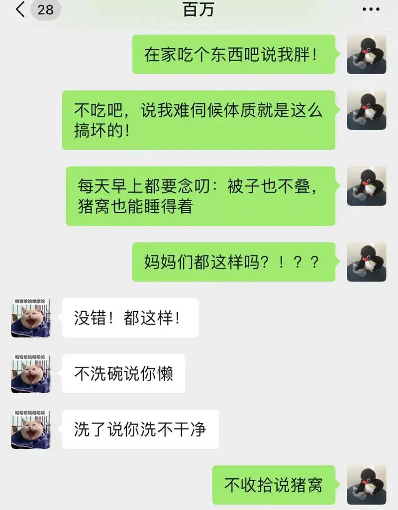 母上攻略1重置版汉化版更新了什么?快来看!