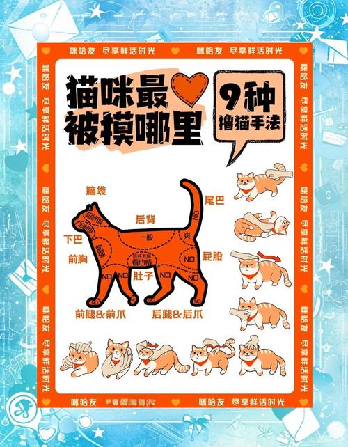 当你的猫咪游戏攻略：轻松解锁完美结局秘籍！