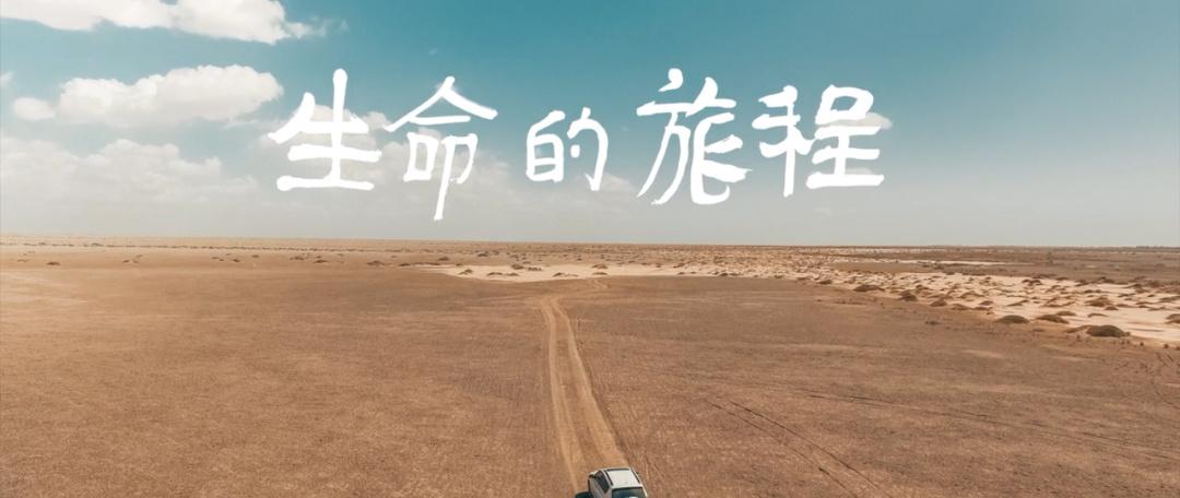 祈愿之旅官方网站：你的心愿，我们的旅程，一起出发