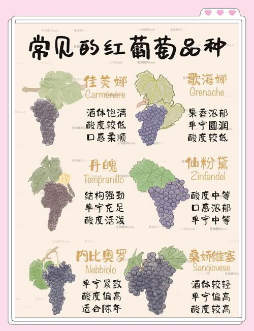 葡萄成熟时版本大全:你最喜欢哪个版本?