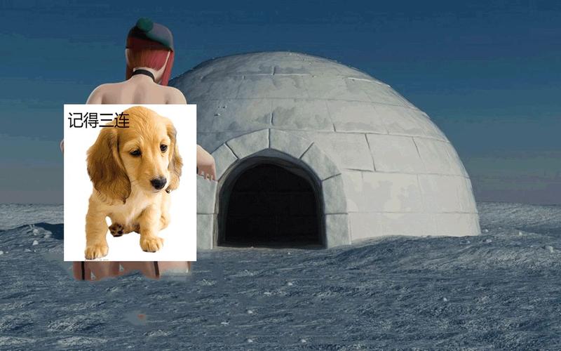 最新版迪米特雷斯库的城堡下载:版本号、玩法及资源分享