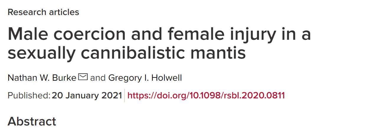 寻找胁迫COERCION下载资源?这里有你需要的下载链接