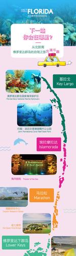 心灵旅达官方正式版下载：获取最新版，开启精彩旅程