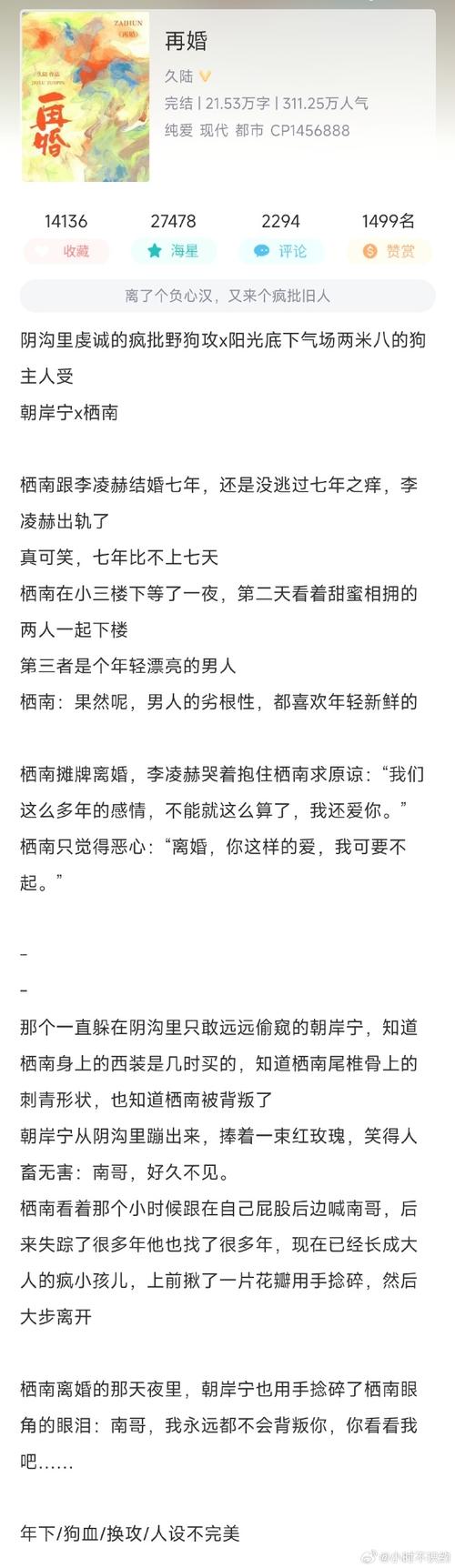 再婚家庭的奇妙故事版本大全:亲情、爱情与婚姻的交响乐