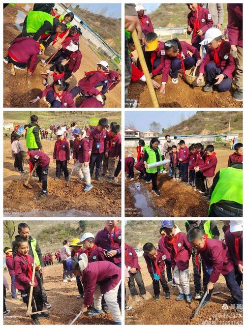 如何下载我的播种农场?超简单下载安装步骤分享