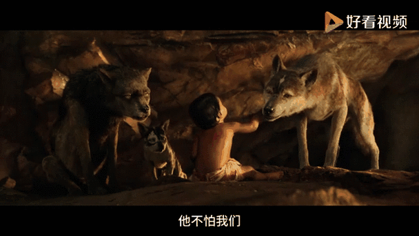 森林之子各个版本下载：完整版、测试版，总有一款适合你！