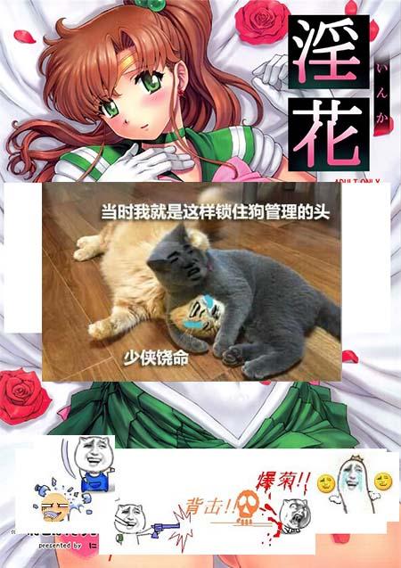 女骑士蕾蒂西亚绅士游戏攻略:征服魔王少女的秘诀