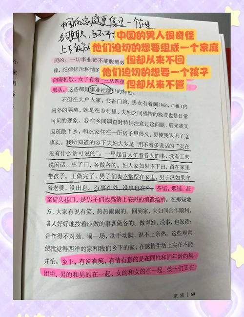 解锁乡村秘密:无知少女的乡村韵事安卓汉化版