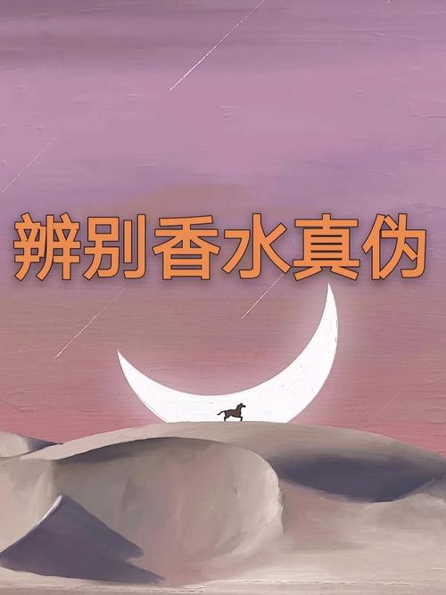 寻找女学生鉴别学更新地址?别错过这个超实用攻略