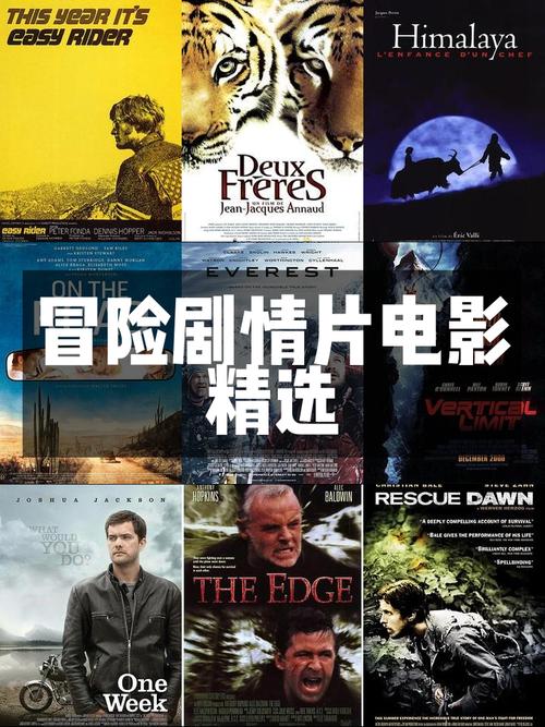 宝箱探险队最新更新：精彩剧情，全新冒险体验！