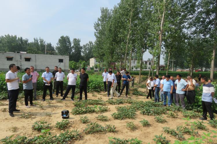 你还在找肉壺村?这里提供最新可用地址