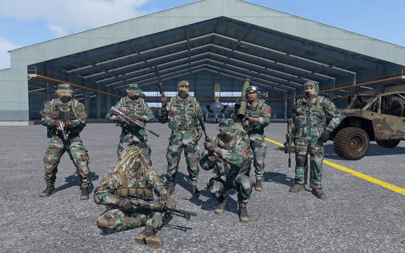 最全SOB军旅DLC含本体版本合集：资源下载及问题解答