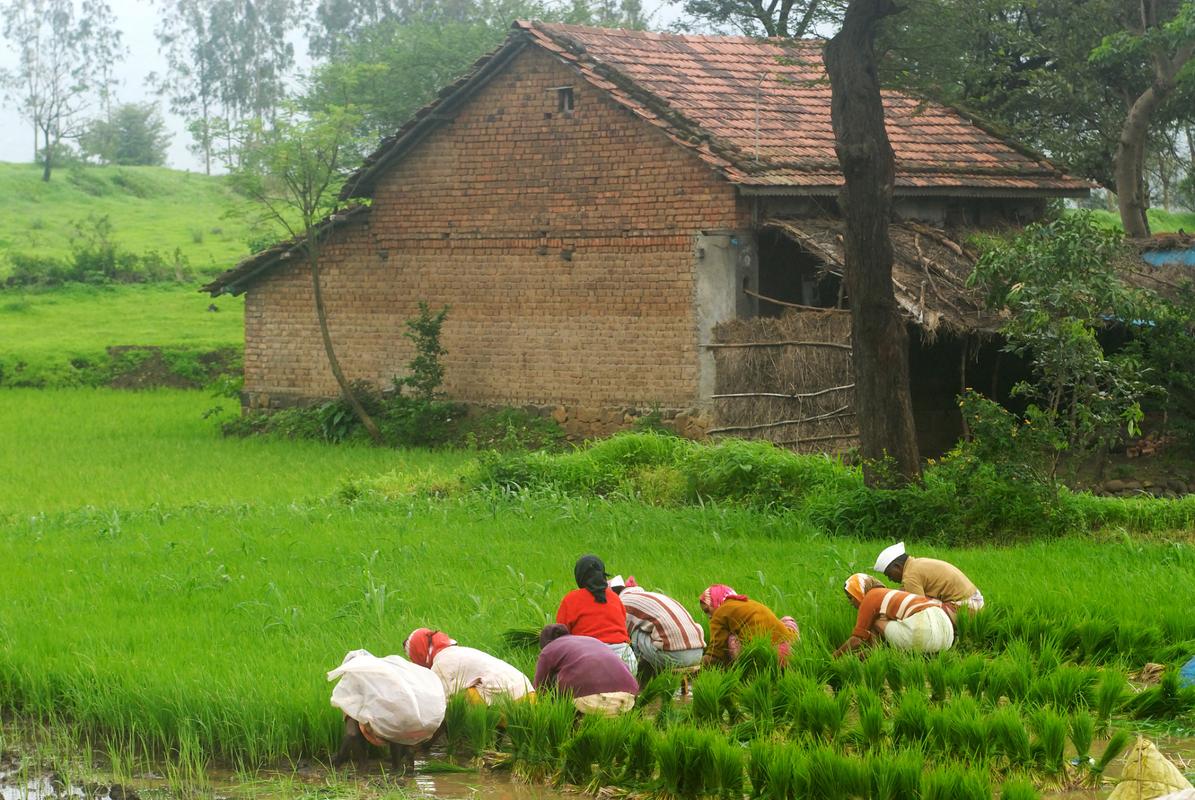 分享我的乡村生活最新见闻：简单纯粹的乡村日常