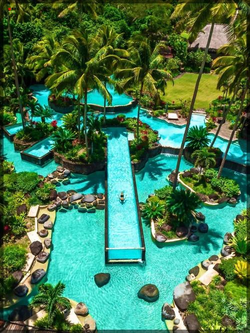 最新Nekotto岛下载资源分享，附下载教程及注意事项