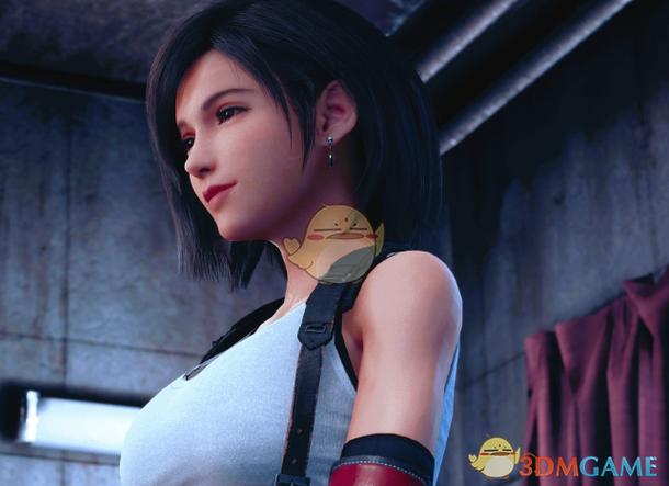 蒂法的工口幻想绅士游戏：深度解析玩家热议Mod