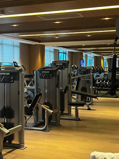 想了解禁欲健身中心最新版本？这里有你需要的所有信息！