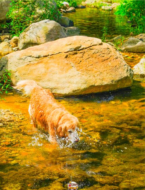 精灵谷官方网站：北京密云精灵谷度假村官网入口