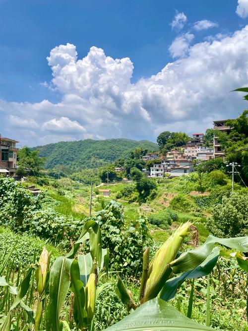 想体验田园生活？试试小镇狂想曲杨过游戏吧