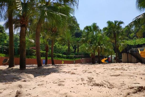 夏日炎炎更新地址曝光，不容错过！