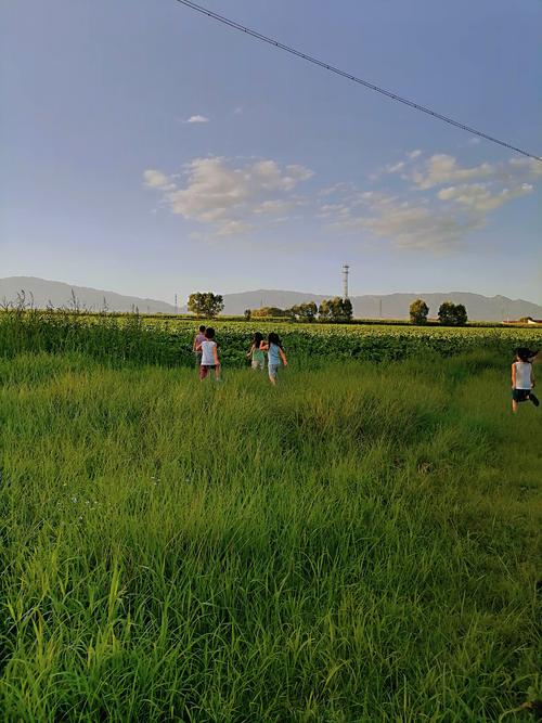 乡村生活的快乐暑假游戏攻略：轻松畅玩秘籍大公开