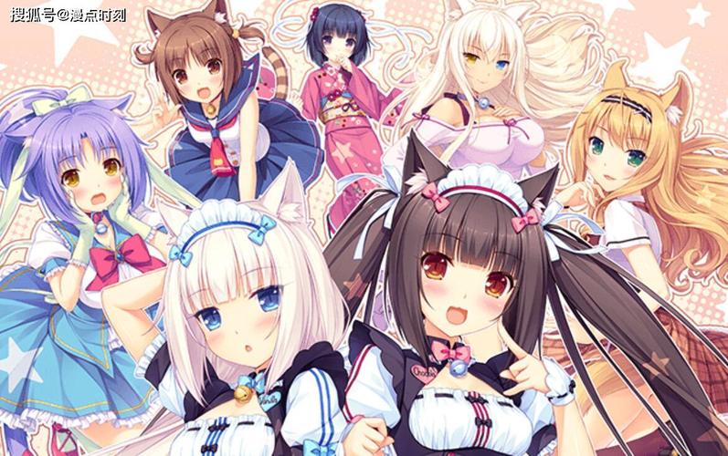 想玩猫娘游戏？这里提供快速下载地址！