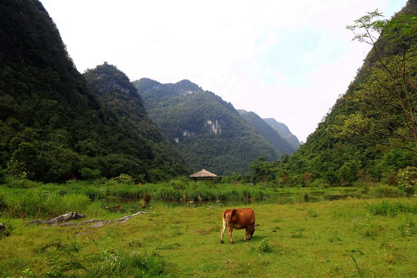 急寻小绿山更新地址,高清完整版下载教程