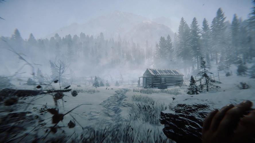 森林之子游戏下载教程：PC版下载方法大全