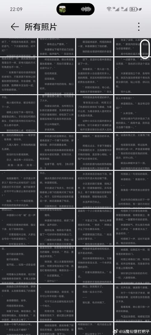 以女友为赌注最新分析：高风险赌博的背后隐情